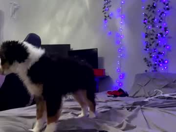 laylakutiex's chat room