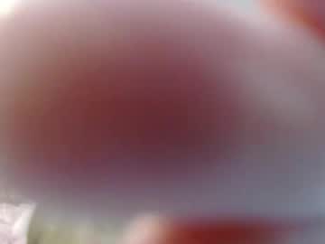 jasonsweets's chat room