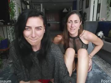 levity_opossum's chat room