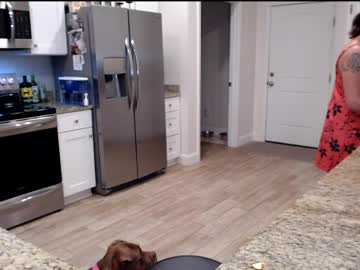 holihurricane's chat room