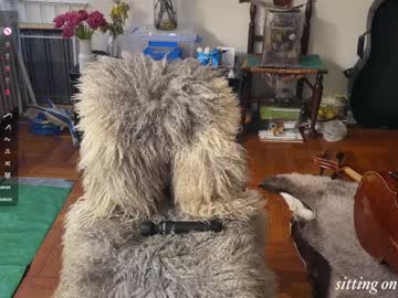 chiloschista's chat room